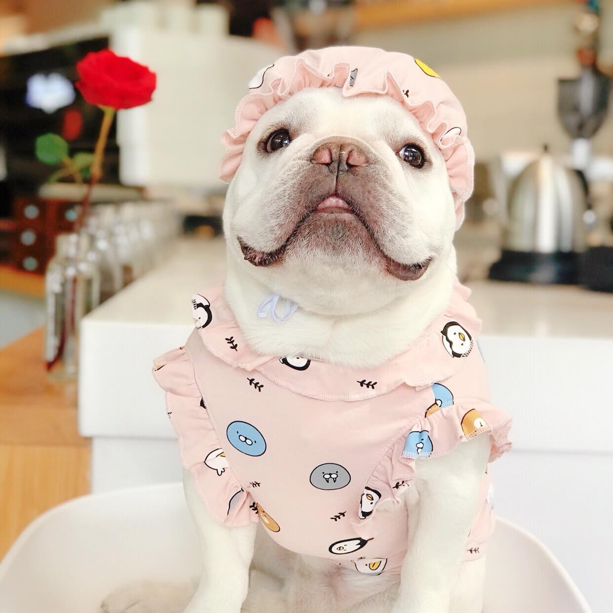 French Bulldog Pajamas PJs with Hat - Frenchiely