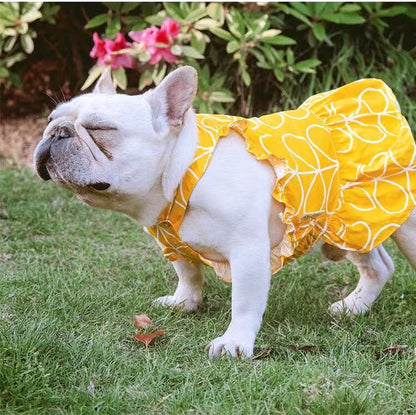 French Bulldog Summer Dress - Frenchiely