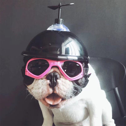 French Bulldog Sunglasses Dog Goggles- Updated Version - Frenchiely