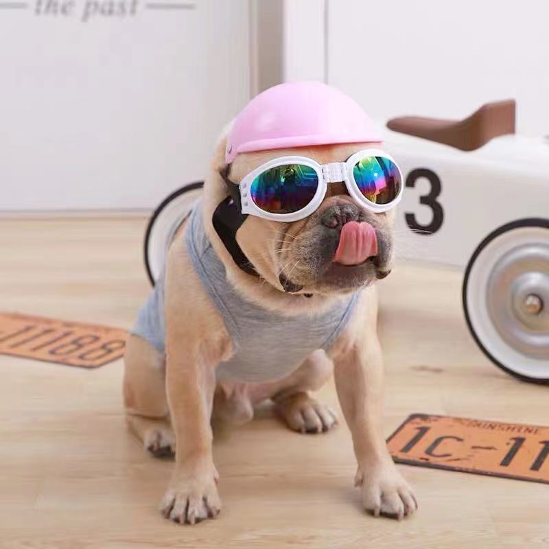 French Bulldog Sunglasses Dog Snow Goggles by Frenchiely 0