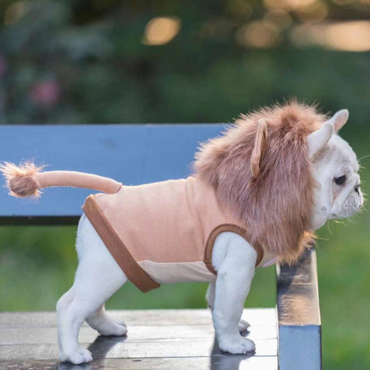 Lion Costume French_Bulldog_halloween_lion_costumes_01