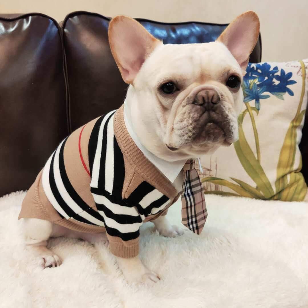Striped Cardigan Sweater with Bow Tie for French Bulldog - Frenchiely
