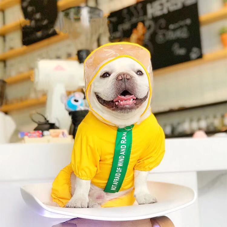 Cartoon Dog Dinosaur Waterproof Rain Jacket Coat - Frenchiely