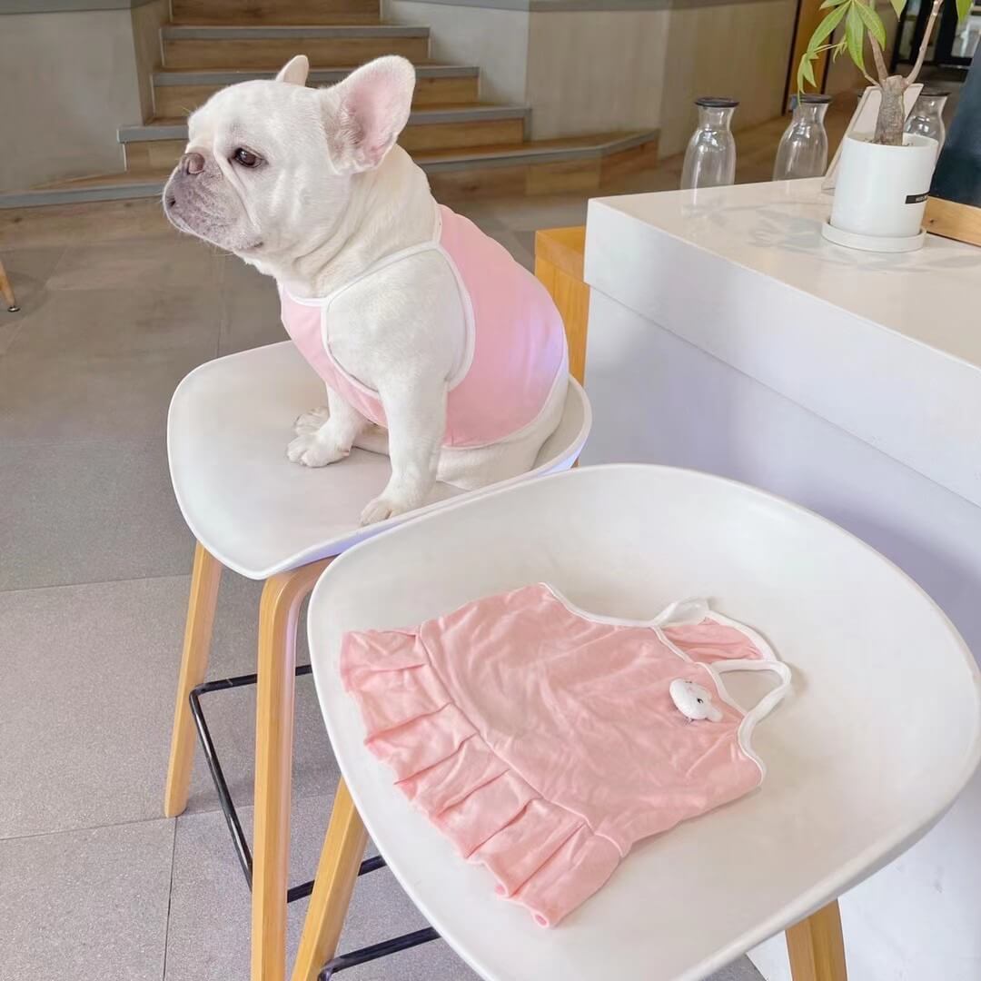 Dog Pink Dress - Frenchiely