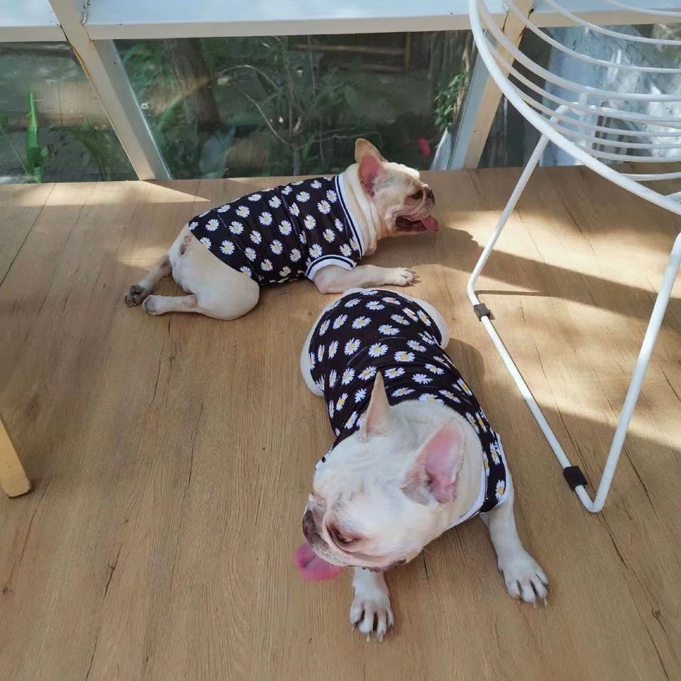 Daisy Summer Sun Shield Shirt for Medium Dogs - Frenchiely