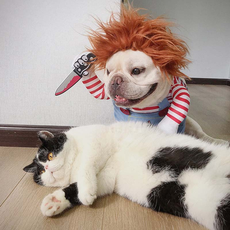 Deadly Doll Dog Costume for Medium Sized Dogs - Frenchiely