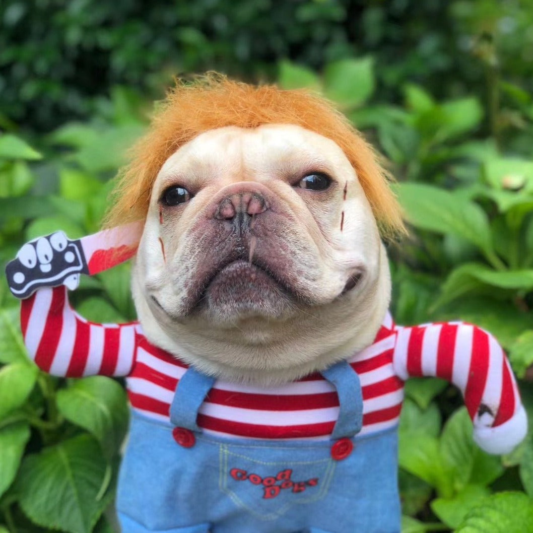 Deadly Doll Dog Costume for Medium Sized Dogs - Frenchiely