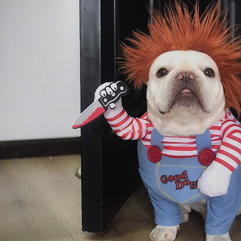 Deadly Doll Dog Costume for Medium Sized Dogs - Frenchiely