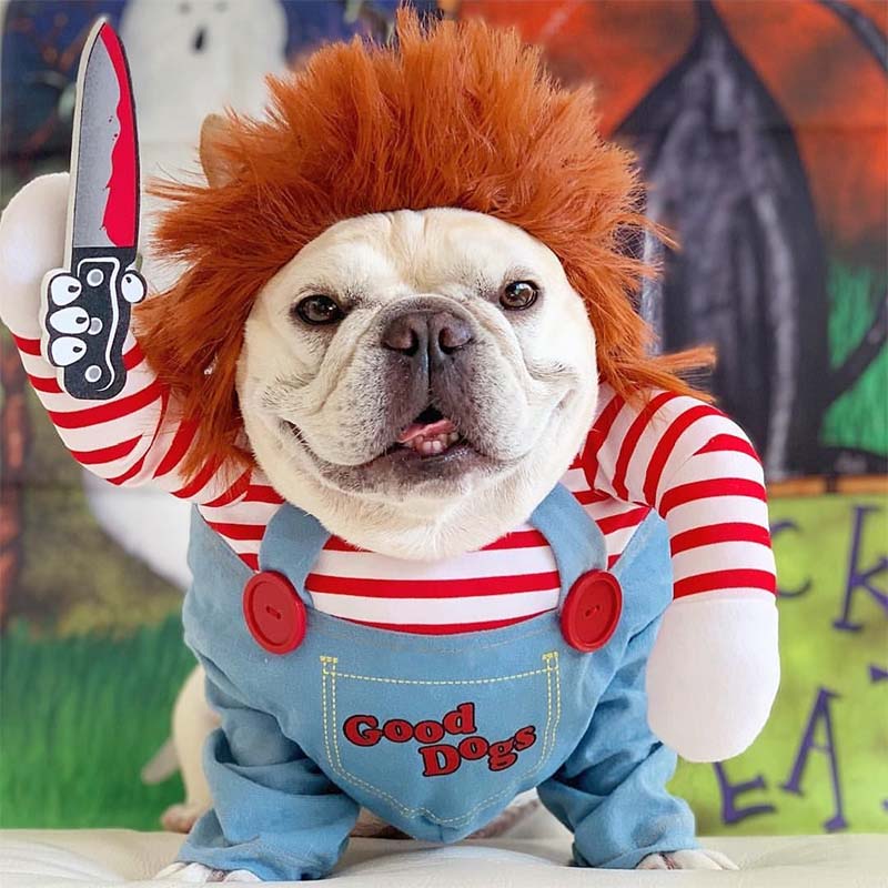 Deadly Doll Dog Costume for Medium Sized Dogs - Frenchiely