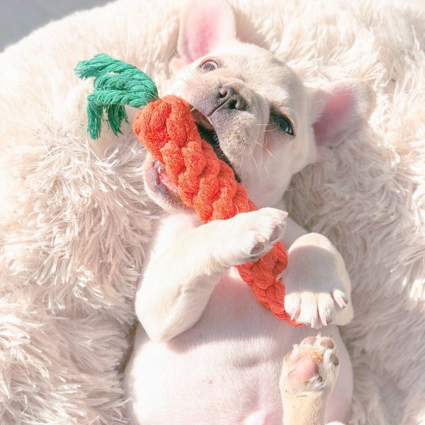 Chewing Carrot Toy for Puppies - Frenchiely