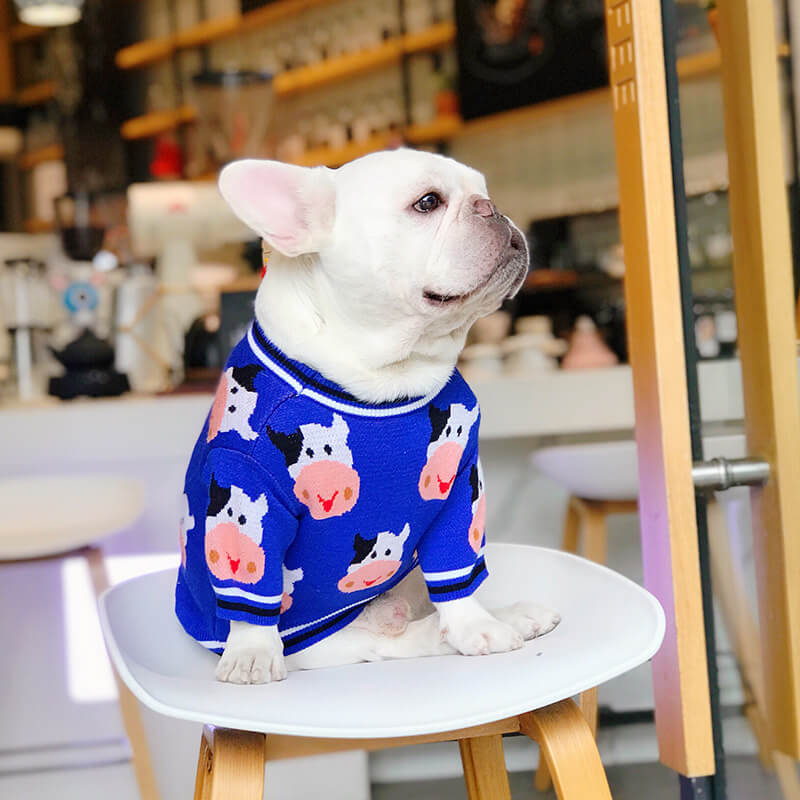 Dog Blue Cow Pullover Sweater for French Bulldogs by Frenchiely