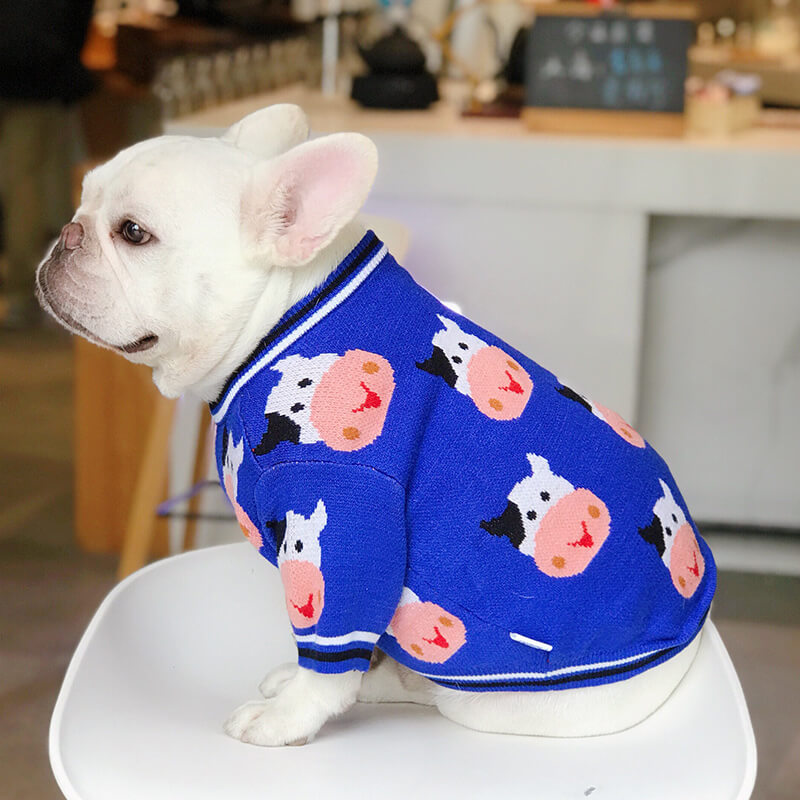 Dog Blue Cow Pullover Sweater for French Bulldogs by Frenchiely
