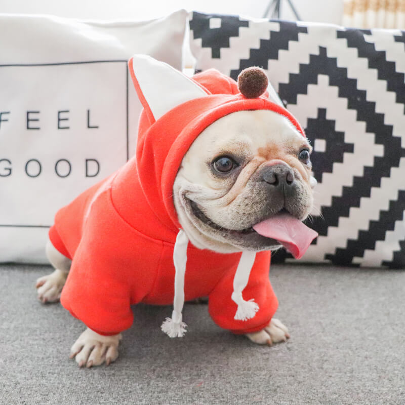 Frenchiely dog cartoon frog hoodie coat 0