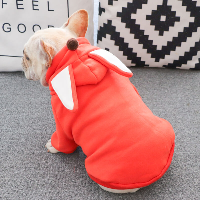 Frenchiely dog cartoon frog hoodie coat 0