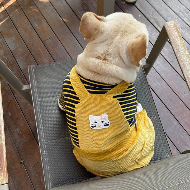 Frenchiely Dog Cartoon Lion Overalls for Medium Dogs 0