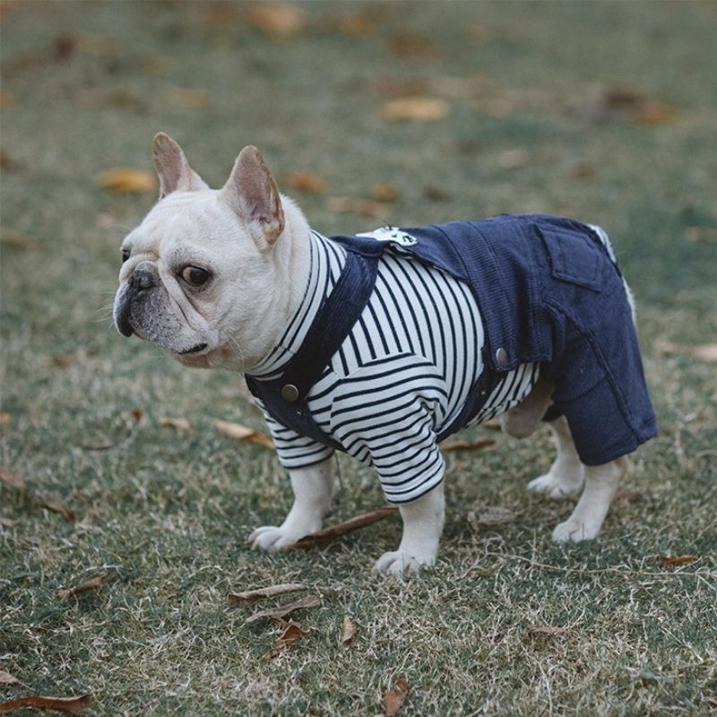 Frenchiely Dog Cartoon Lion Overalls for Medium Dogs 0