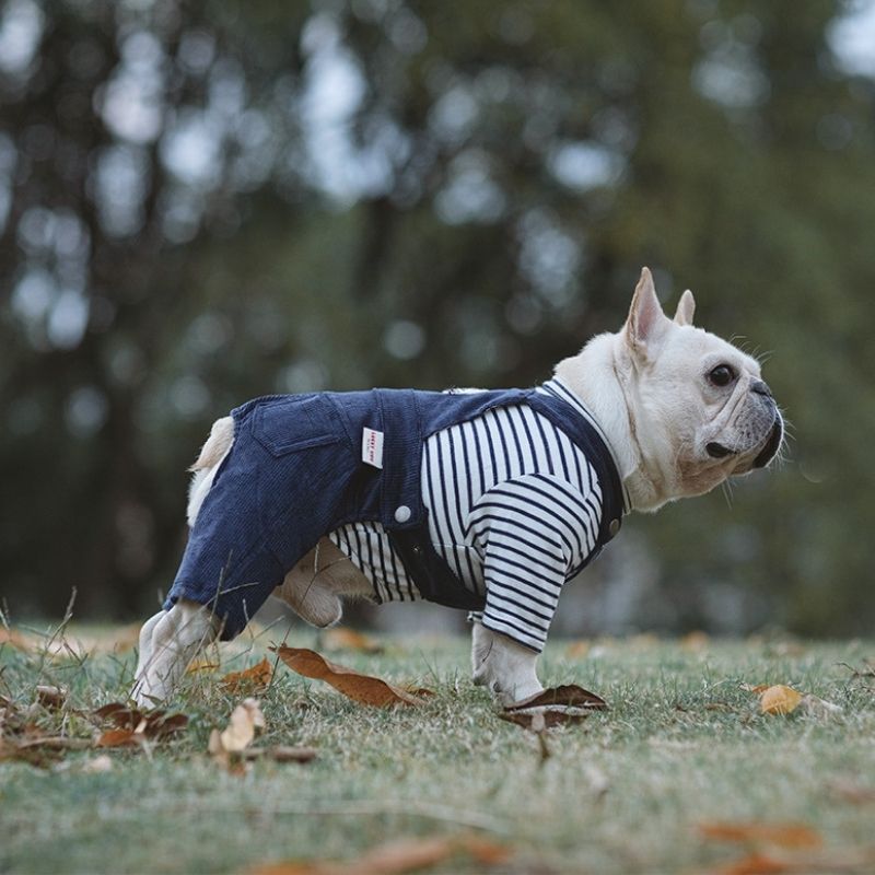 Dog Cartoon Lion Overalls Frenchiely