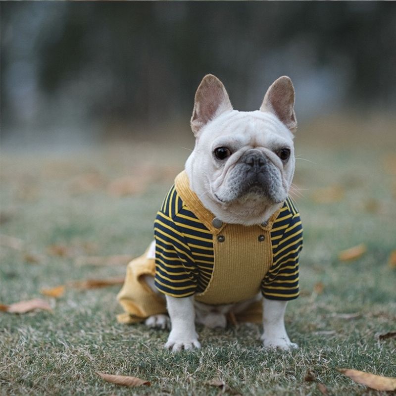 Frenchiely Dog Cartoon Lion Overalls for Medium Dogs 0