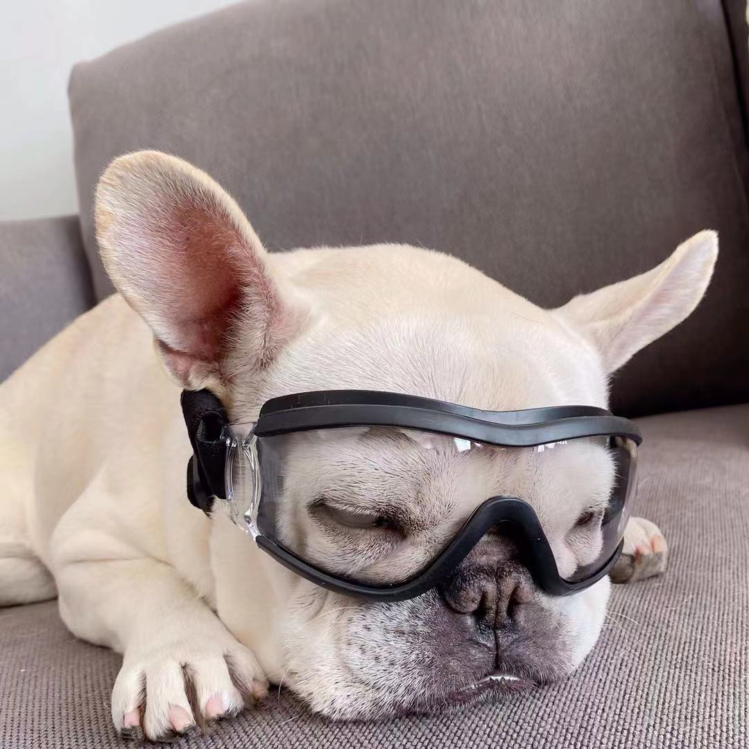 clear dog goggles Dog Goggles Sunglasses for Flat Face Dogs