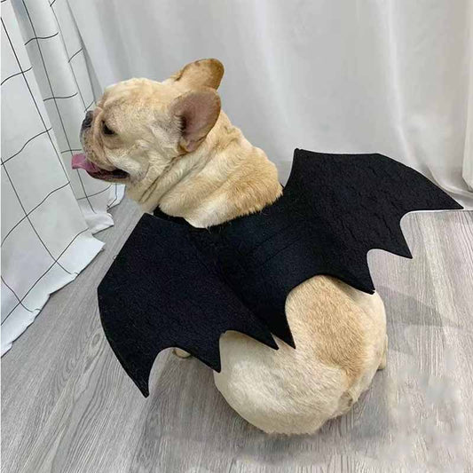 French Bulldog Bat Halloween Costume - Frenchiely