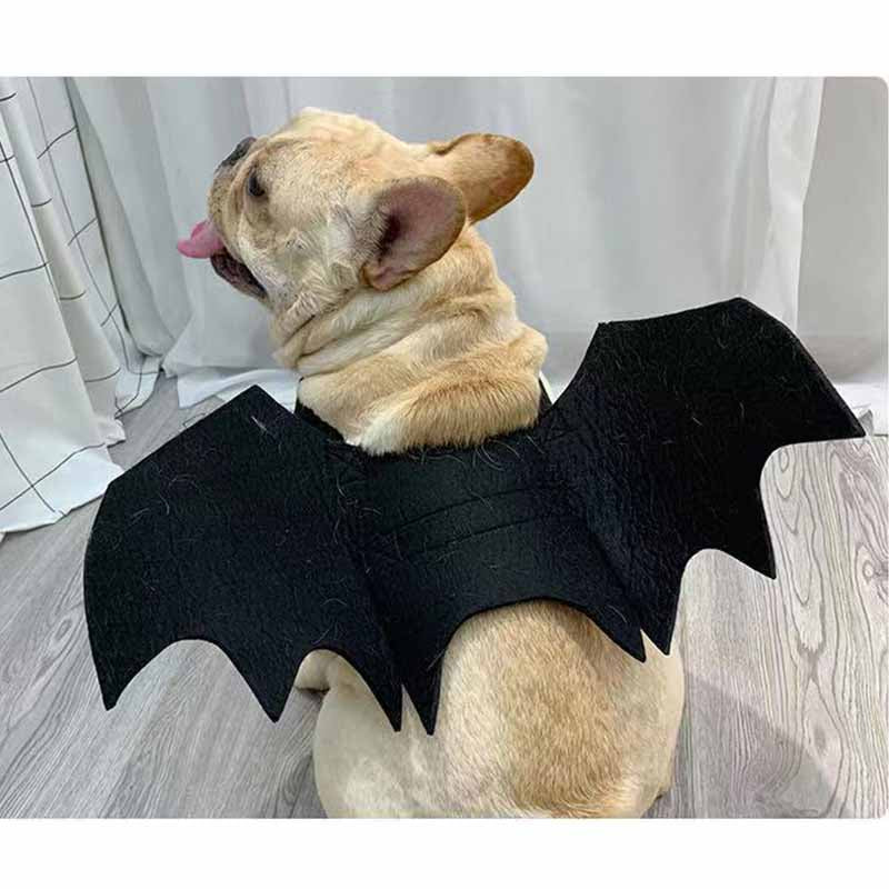 French Bulldog Bat Halloween Costume - Frenchiely