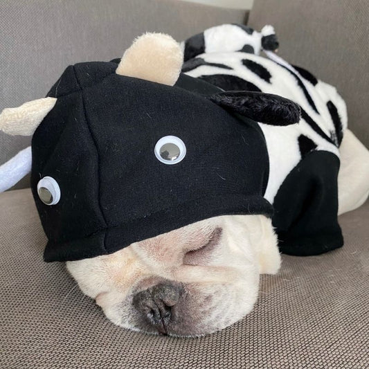Cow Costumes with Bag FrenchielyDogHalloweenCowCostumeHoodie01