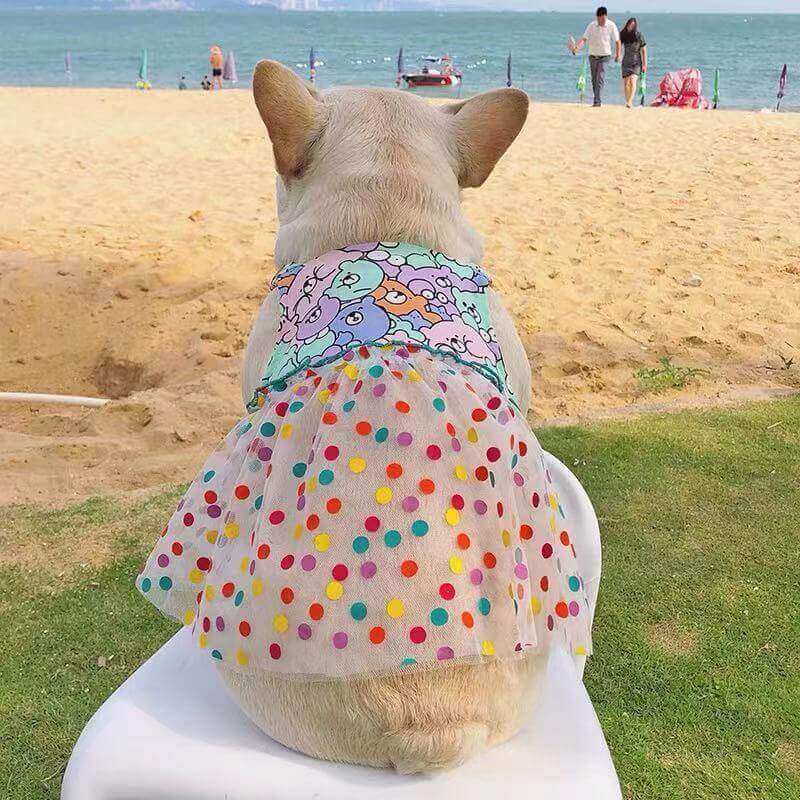 Dog Lace Polka Summer Dress- Frenchiely 