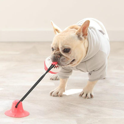 Dog Multifunction Floor Suction Cup Dog Toy Ball - Frenchiely