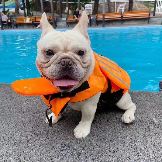 Dog Life Jacket Swim Vest Trunk with Wings - Frenchiely