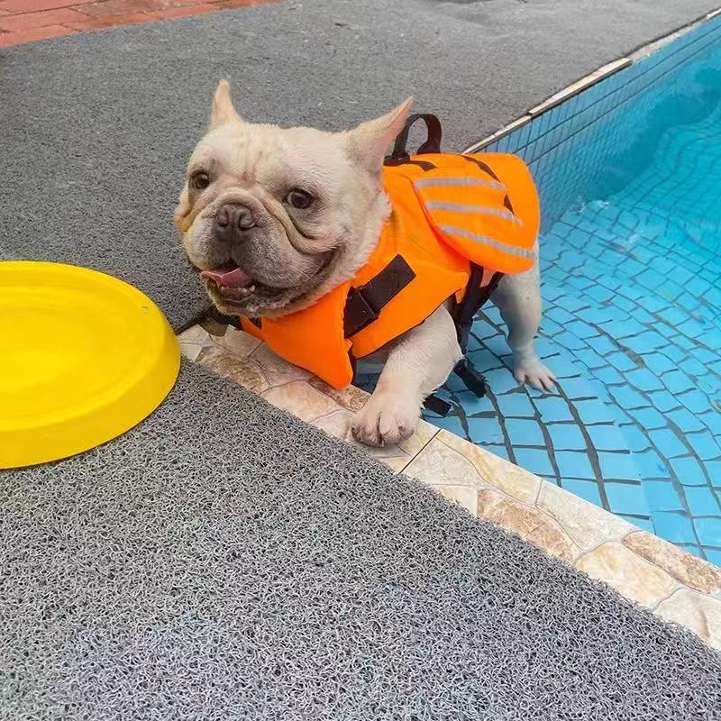 Dog Life Jacket Swim Vest Trunk with Wings - Frenchiely