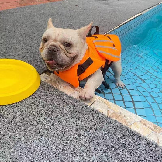 Swim Trunk FrenchielyDogLifeJacketSwimVestTrunkwithWingsformediumdogs08