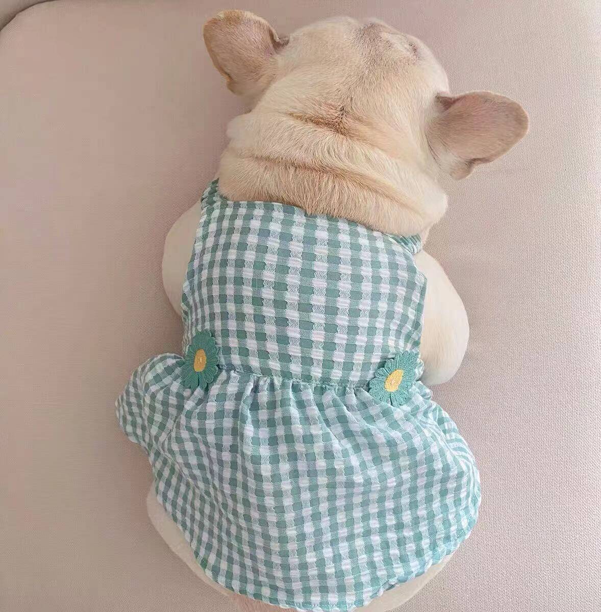 Dog Plaid Suspenders Dress for Frenchies- Frenchiely 