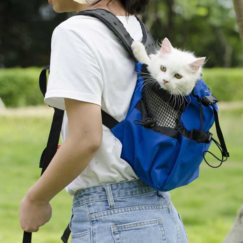 Dog Reflective Outdoor Travel Carrier Bag Backpack - Frenchiely