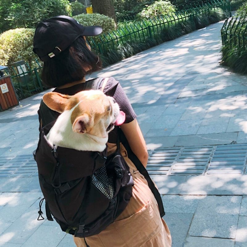 Frenchie Backpack Dog Reflective Outdoor Carrier Backpack | French Bulldog Travel Bag ...