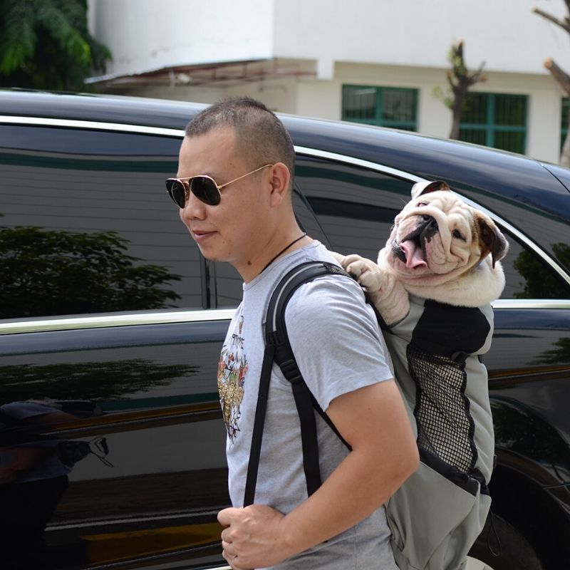 Frenchie Backpack Dog Reflective Outdoor Carrier Backpack | French Bulldog Travel Bag ...