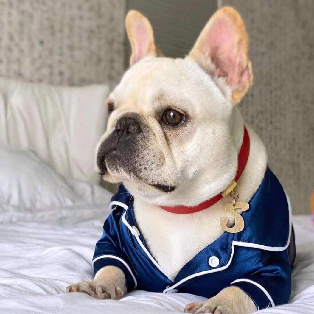 dog silk pajamas loungewear for medium dogs - Frenchiely