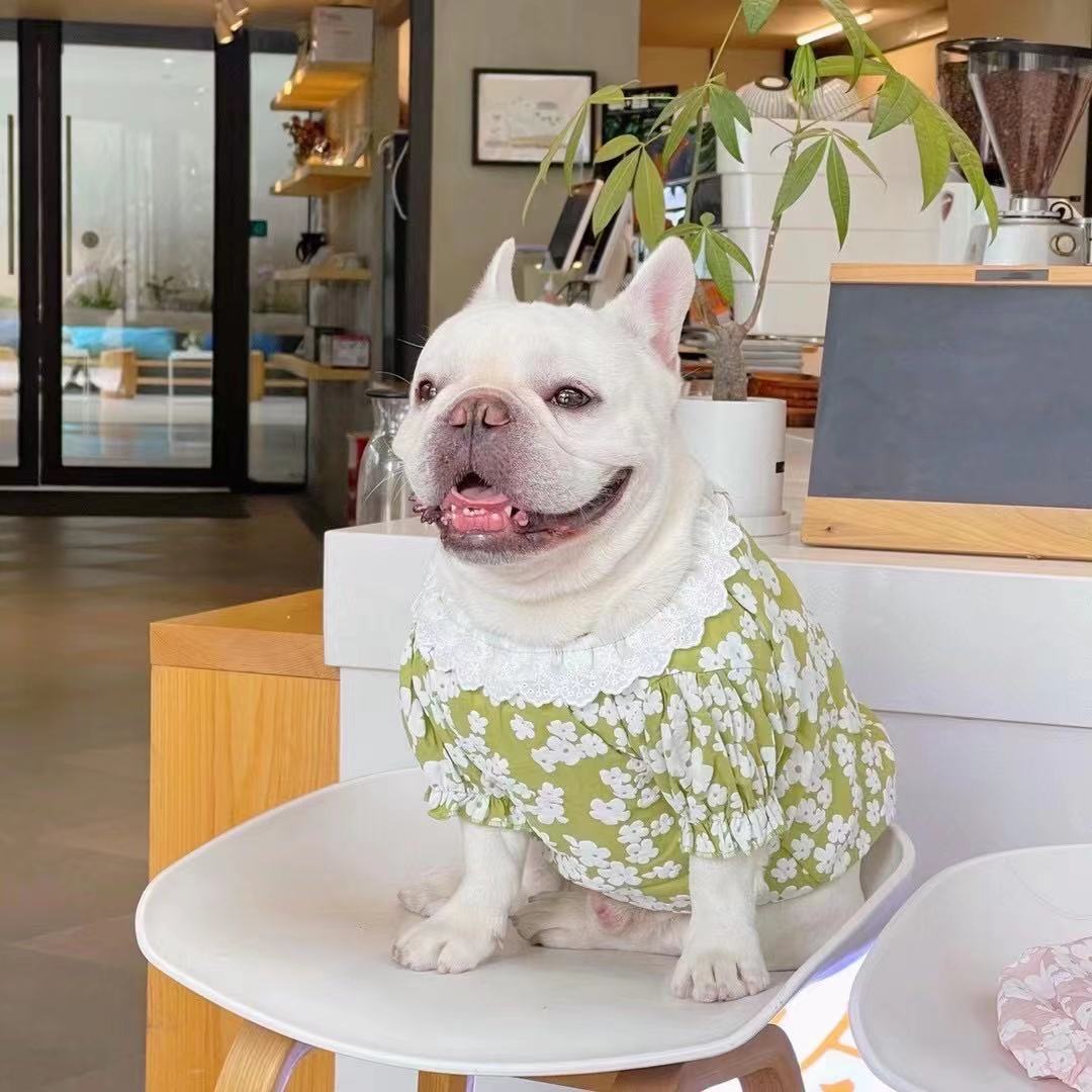 Frenchiely Dog Spring Summer Floral Shirt with Lace Hat for french bulldog 0