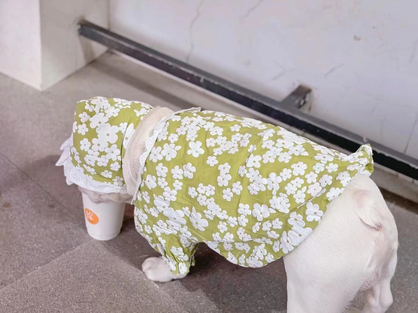 Frenchiely Dog Spring Summer Floral Shirt with Lace Hat for french bulldog 0