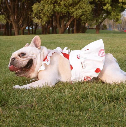 Dog Strawberry Dress Skirt for Medium Dogs - Frenchiely