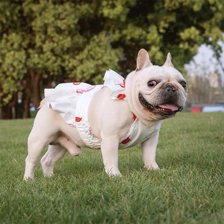 Dog Strawberry Dress Skirt for Medium Dogs - Frenchiely