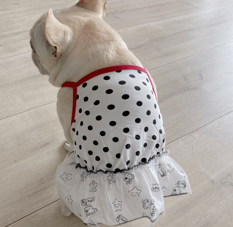 Frenchiely Dog Summer Dress for French Bulldogs 0