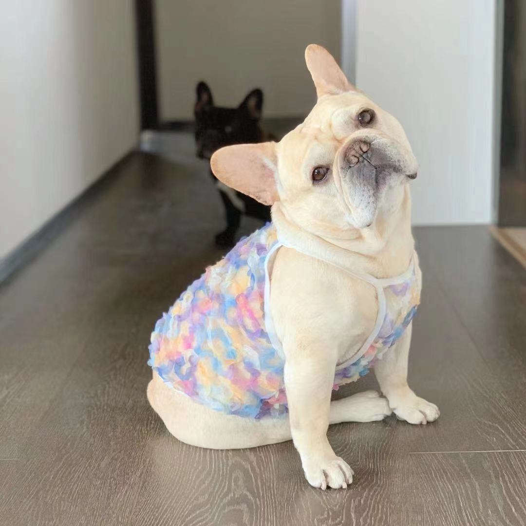 Frenchiely Dog Summer Mesh Floral Shirt for Female Dogs 0