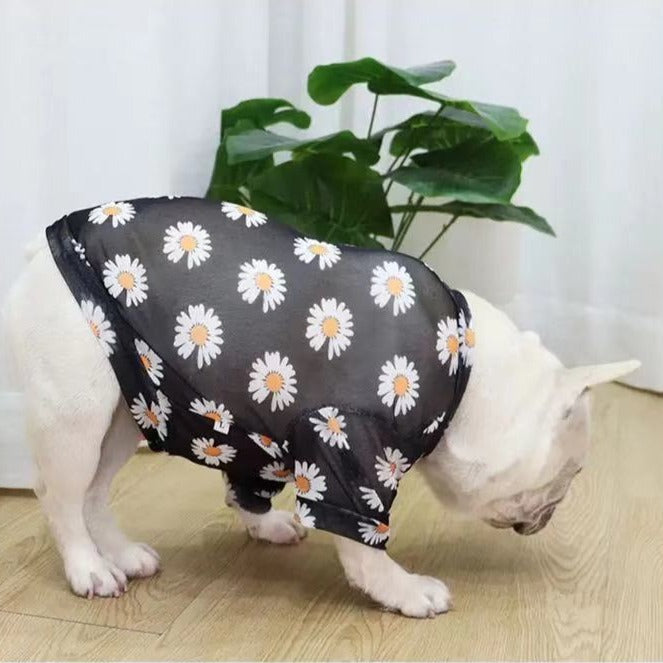 French Bulldog Daisy & Lemon Sun Shield Shirt - Frenchiely