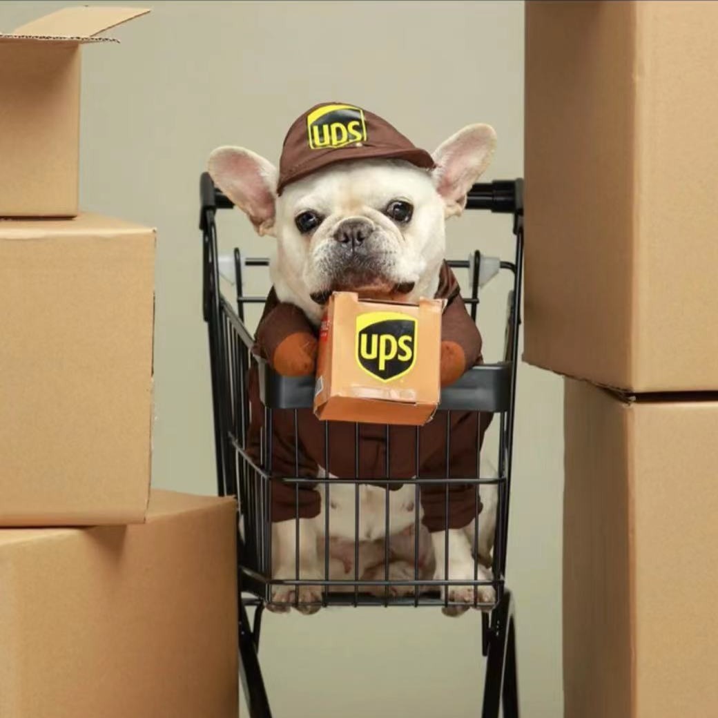 Frenchiely Dog USPS UPS Costume for Small Medium Dogs 0