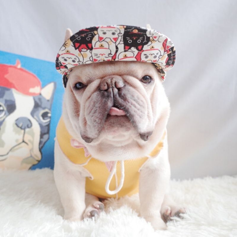 Cartoon Dog Sun Protective Hat for Frenchies - Frenchiely