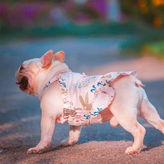 Sweet Pink Dress FrenchielyFemaleDogPinkSummerDress01