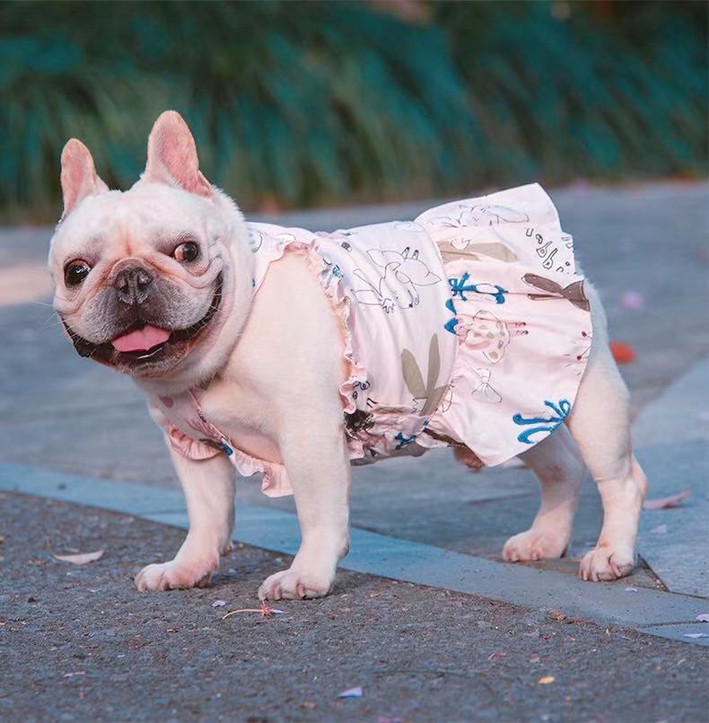 Female Dog Pink Summer Dress - Frenchiely