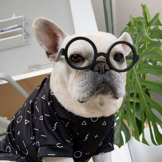 Stylish Black Flexible Dog Summer Mesh Shirt - Frenchiely