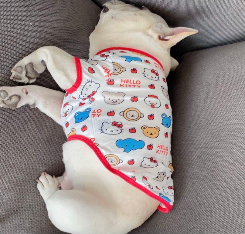 Frenchiely French Bulldog Cartoon Summer T-shirt 0