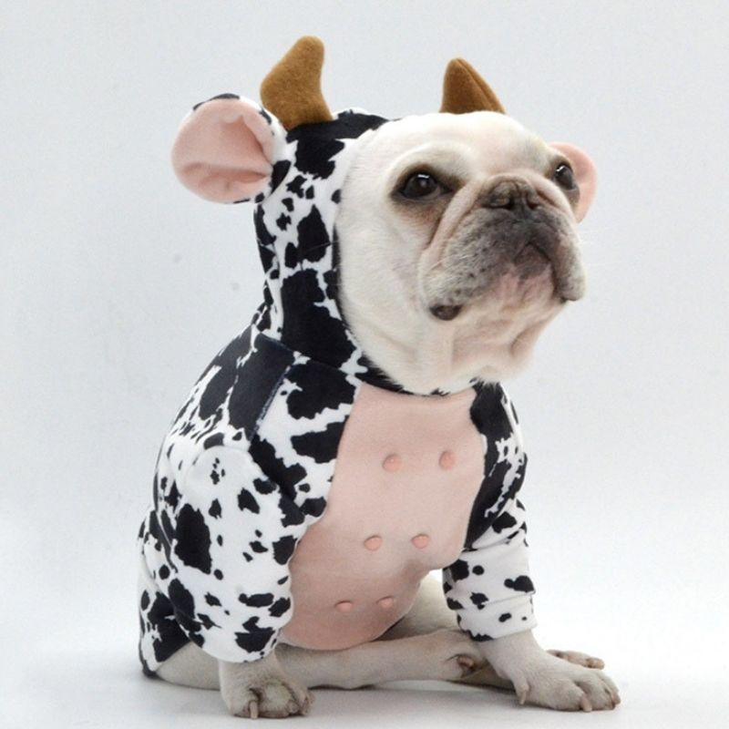 French Bulldog Halloween Cow Costume by Frenchiely 